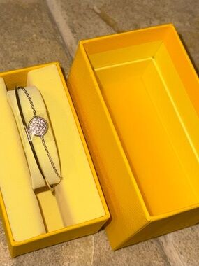 Swarovski Silver Pavé Disc Bracelet with Chain and Bangle
